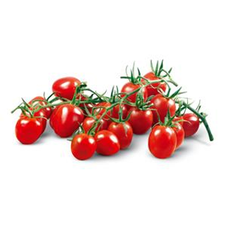 Pomodoro oblungo piccadilly