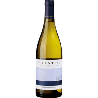 Vicentino Vinho Branco Regional do Alentejo Sauvignon Blanc garrafa 75 cl - 18712103318
