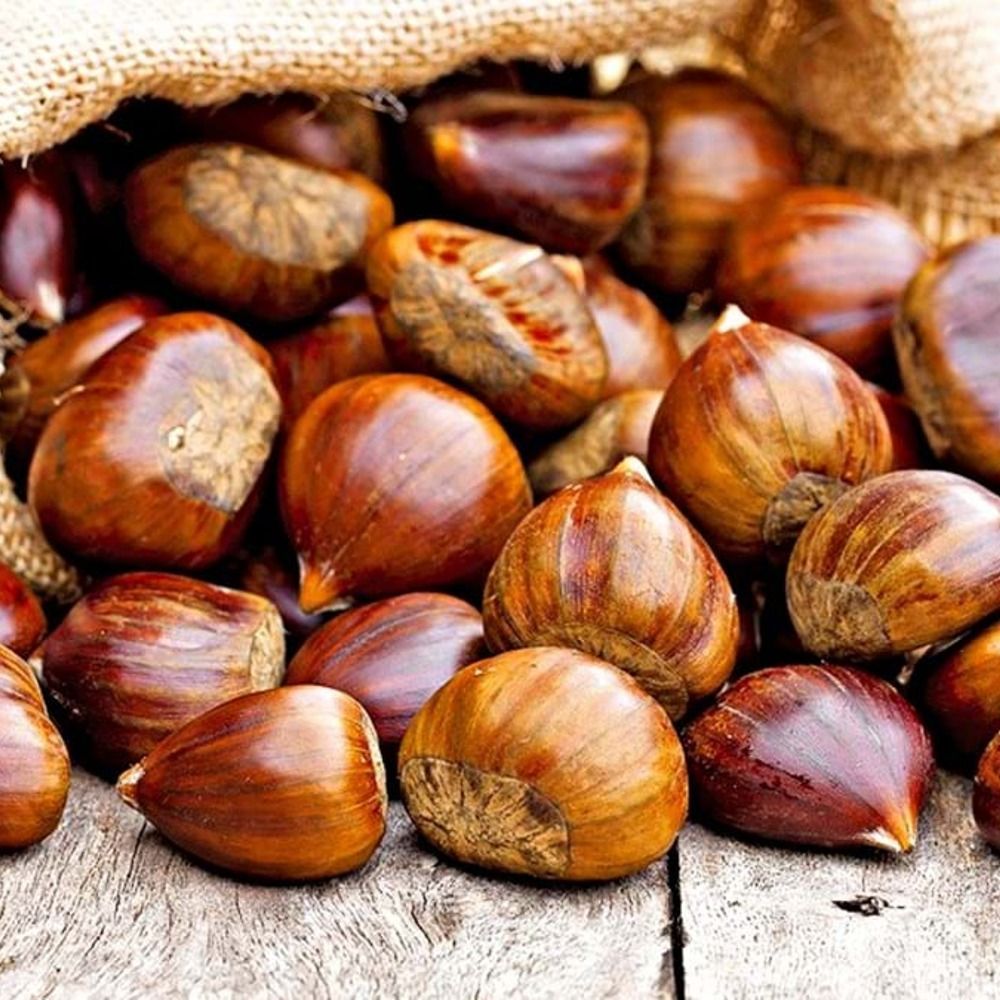 Frutos Secos e Desidratados