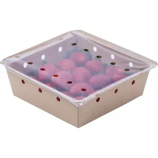 Fruteria Freson Ecologico Tarrina 500 G