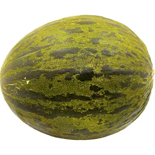 Melón Piel Sapo (3,50 Kg Por Pieza Aprox.)