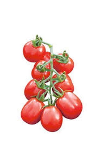 Pomodoro Piccadilly Sigma Gr 500