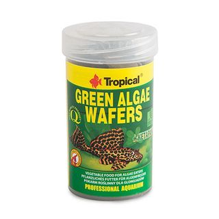 0.1 L Tropical Green Algae Tabletas para peces de fondo