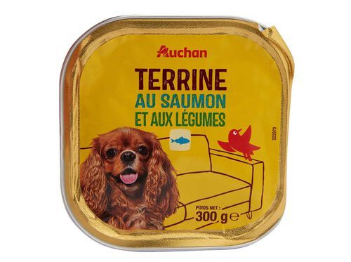 COMIDA HÚMIDA PARA CÃO AUCHAN TERRINA COM SALMÃO E COM LEGUMES 300G