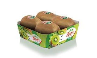 KIWI ZESPRI GREEN X4 GR 500 105/1155/115