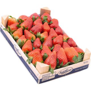 Freson Premium 900 G