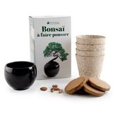 Kit Bonsái Diy (3598761408007)