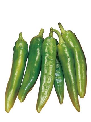 Peperoni Friggitelli 500 G