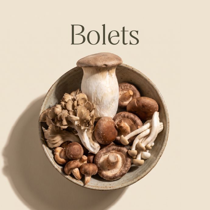 bolets