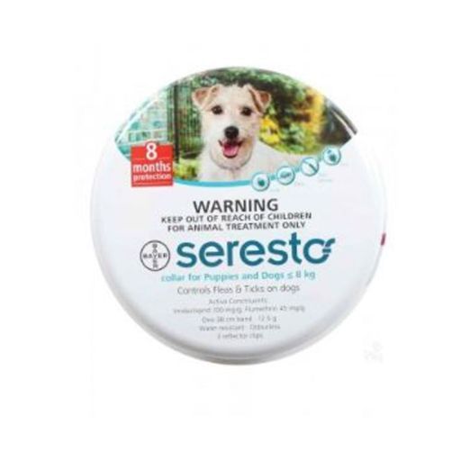 Acessórios Cachorro