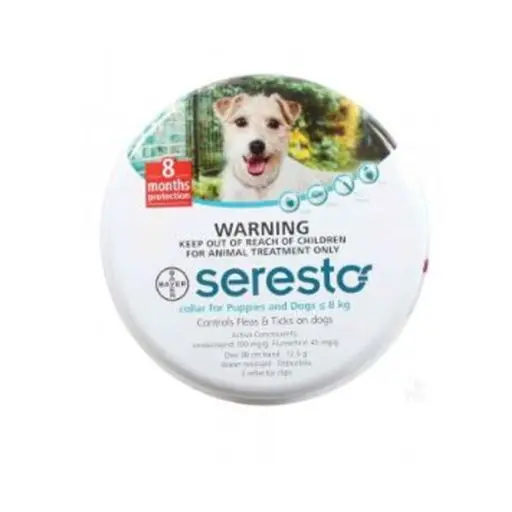 Acessórios Cachorro