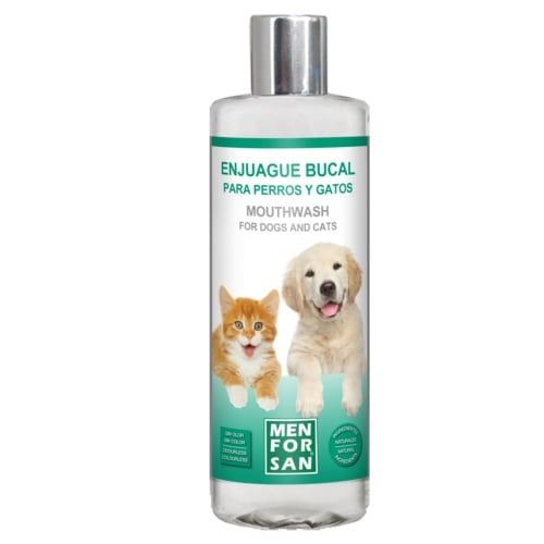 Saúde e Higiene Gato