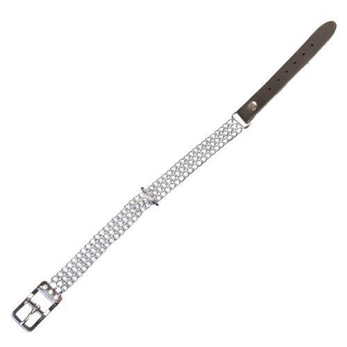 Peitorais, Coleiras e Trelas Cão