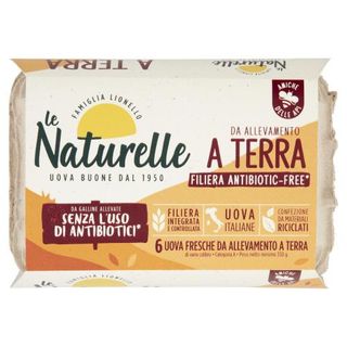 Uova Natur.X6 Rustiche A Terra S.Antibio