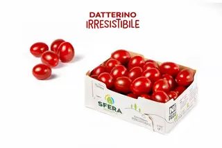 Sfera Agricola Sfera Agricola Pomodori Std Flow-pack Datterino 1 00250 Toscana C.25-30 Gr Nobio I Gamma