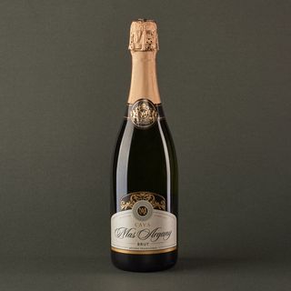 Cava Brut Mas Argany 75Cl