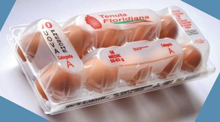 Podere Uova Fresche M 10Pz - 961760