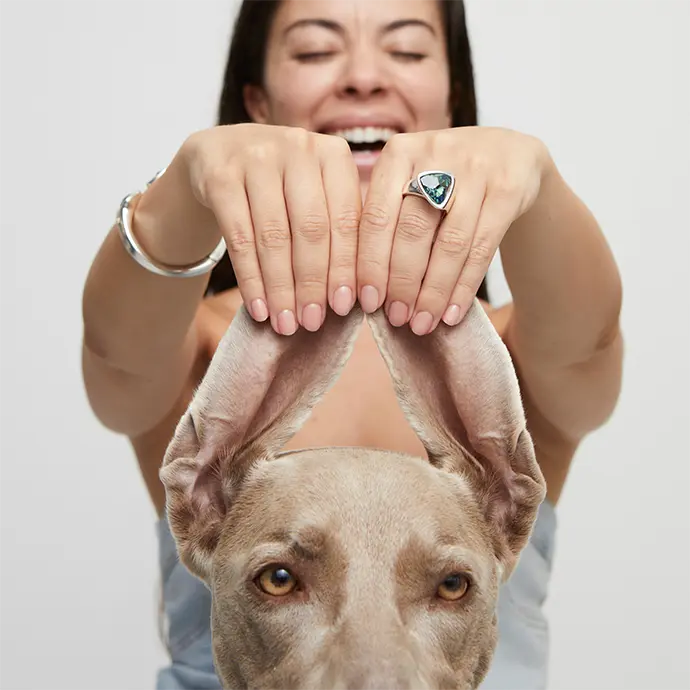 Anillo