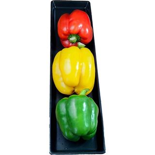 pimiento tricolor bandeja peso aprox. 500 gr