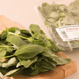 Alfàbrega Safata 40G