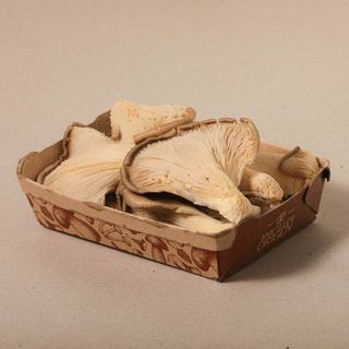 Gírgola Extra Safata 200G