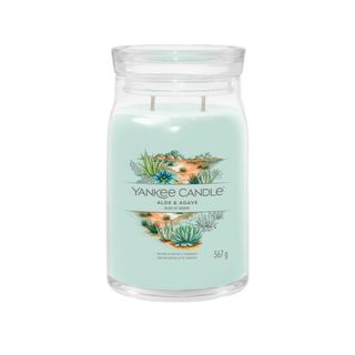 Aloe & Agave, candela giara grande - Yankee Candle