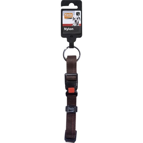 Peitorais, Coleiras e Trelas Cão