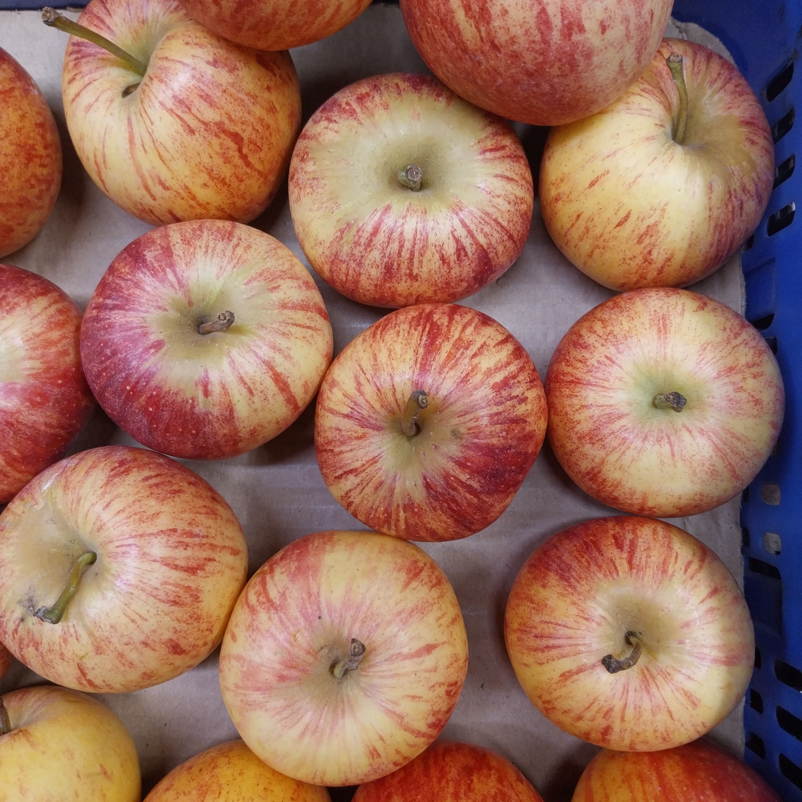 Fruta Fresca