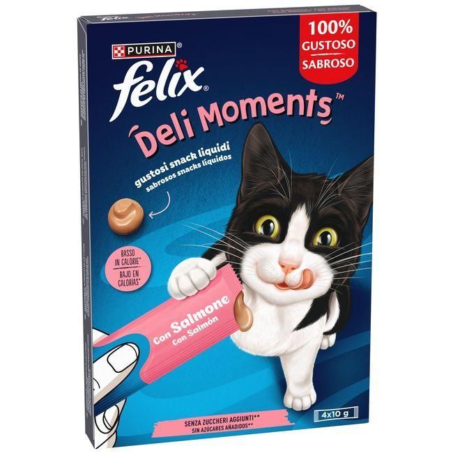 Alimentação Húmida Gato