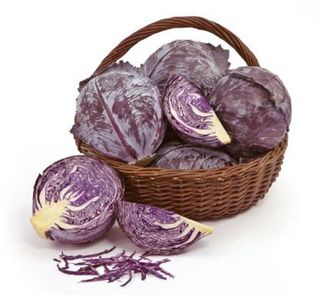 Kapusta czerwona ważona, waga od 1,8 kg