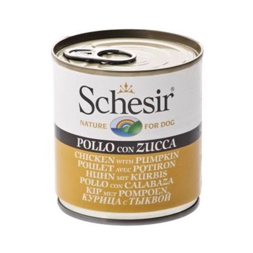 Schesir