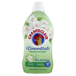 Amm.chant.conc.muschio B. Ml 1140