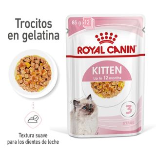 Royal Canin Kitten Comida Húmeda En Gelatina Sobre Para Gatitos 0.085Kg