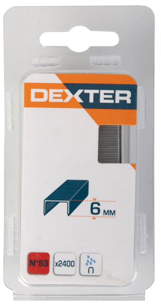 2400 Agrafes Dexter 6Mm N53 (18209863)