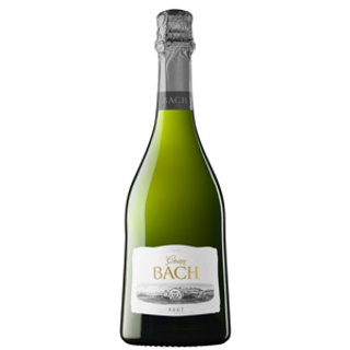 Cava Bach Gran Brut 75Cl.