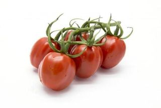 Pomodoro Piccadilly Confezione 500G