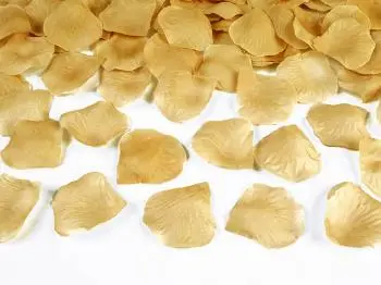 Pétalas.