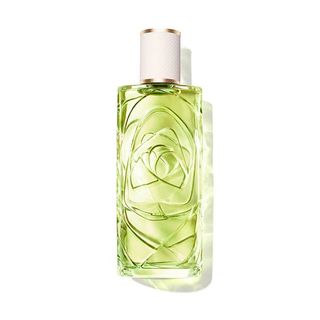 LANCOME Ôff Now 1699901 100ML