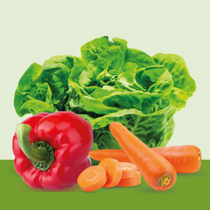 Verduras