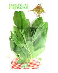 Ervas Aromáticas