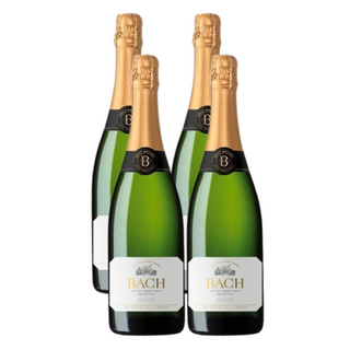 Pack 4x Bach Extrisimo Brut Nature 75cl