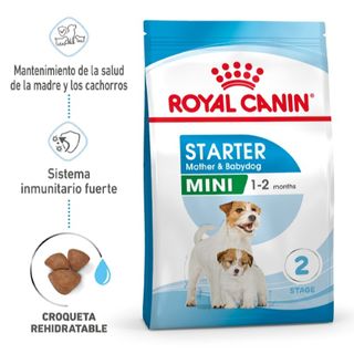Royal Canin Starter Mother&Baby Mini Pienso Para Perros 4Kg
