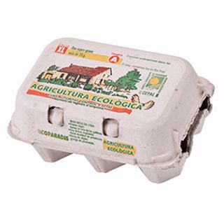 Huevos Xl Eco 6 Uds.