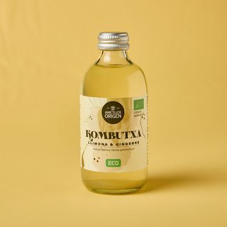 Kombutxa Gingebre I Llimona Ametller Origen 250 Ml
