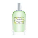 Agua de V-L Nº 3 Hiedra, Iris Y ámbar - Victorio - Lucchino - 30 ml 8411061079829