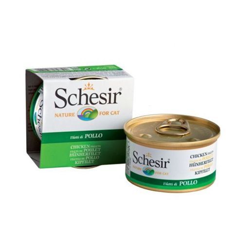 Schesir