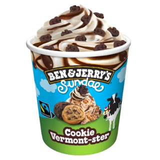 Ben&Jerry's Helado Cookie Vermont-ster Up 427ml