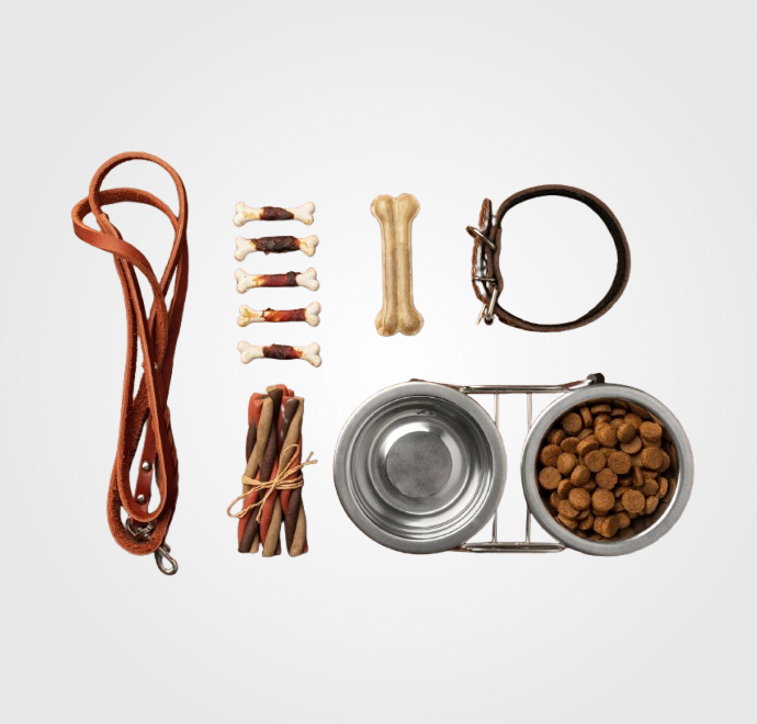 Accesorios y Complementos Perros