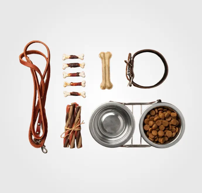 Accesorios y Complementos Perros