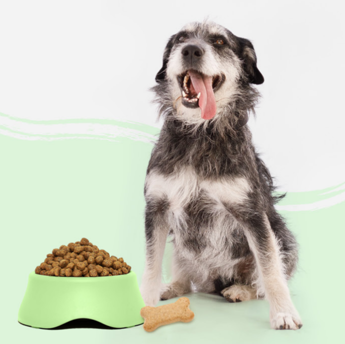 Alimentación Perros